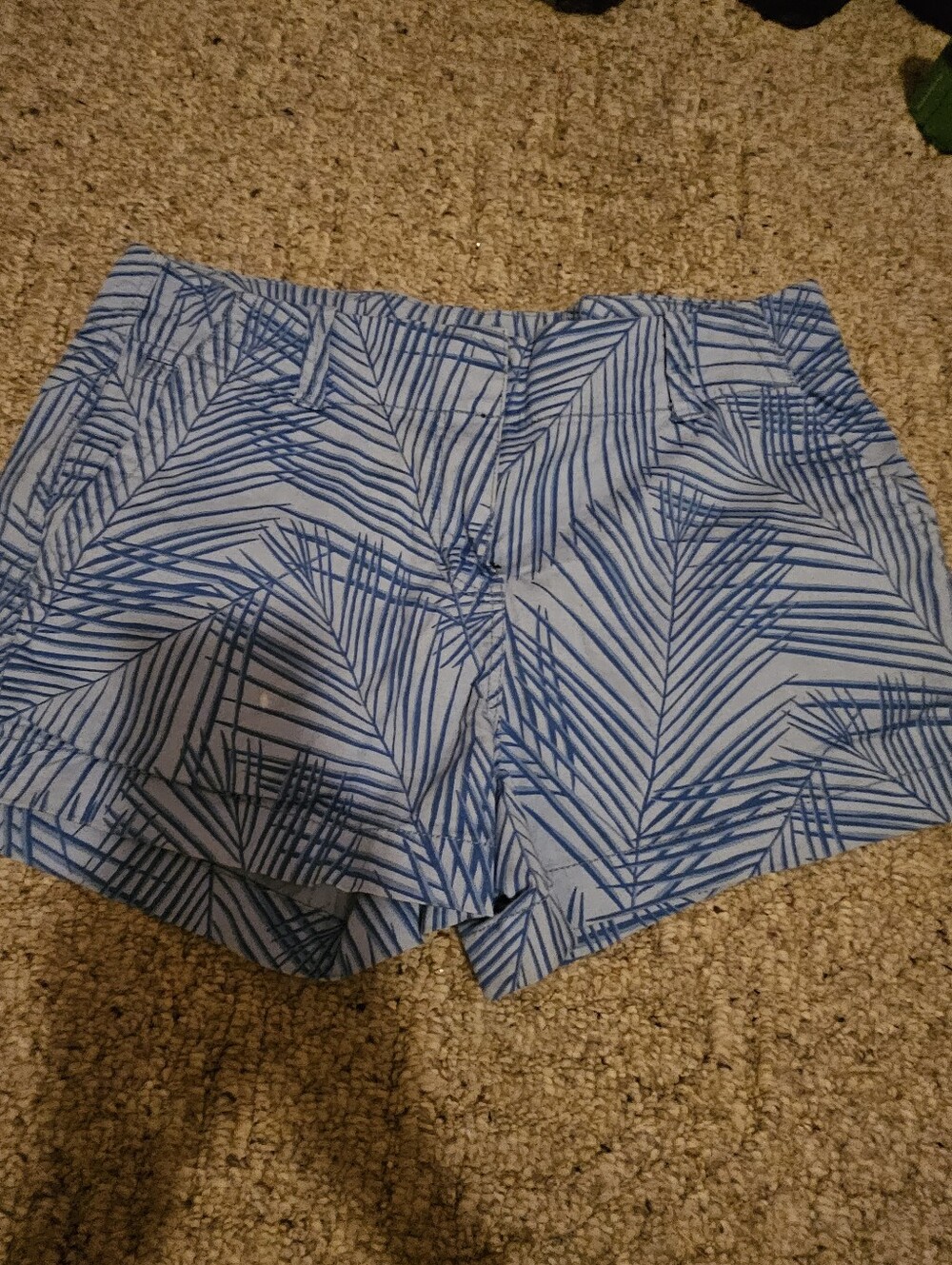 Blue Palm-Print Women’s Shorts